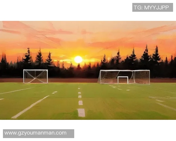 球场光影下的遗憾与辉煌 球场光影下的遗憾与辉煌