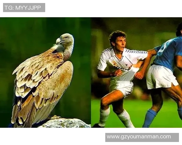 足球场上的传奇外号:那些充满魅力的球星绰号背后的故事与含义 足球场上的传奇外号:那些充满魅力的球星绰号背后的故事与含义